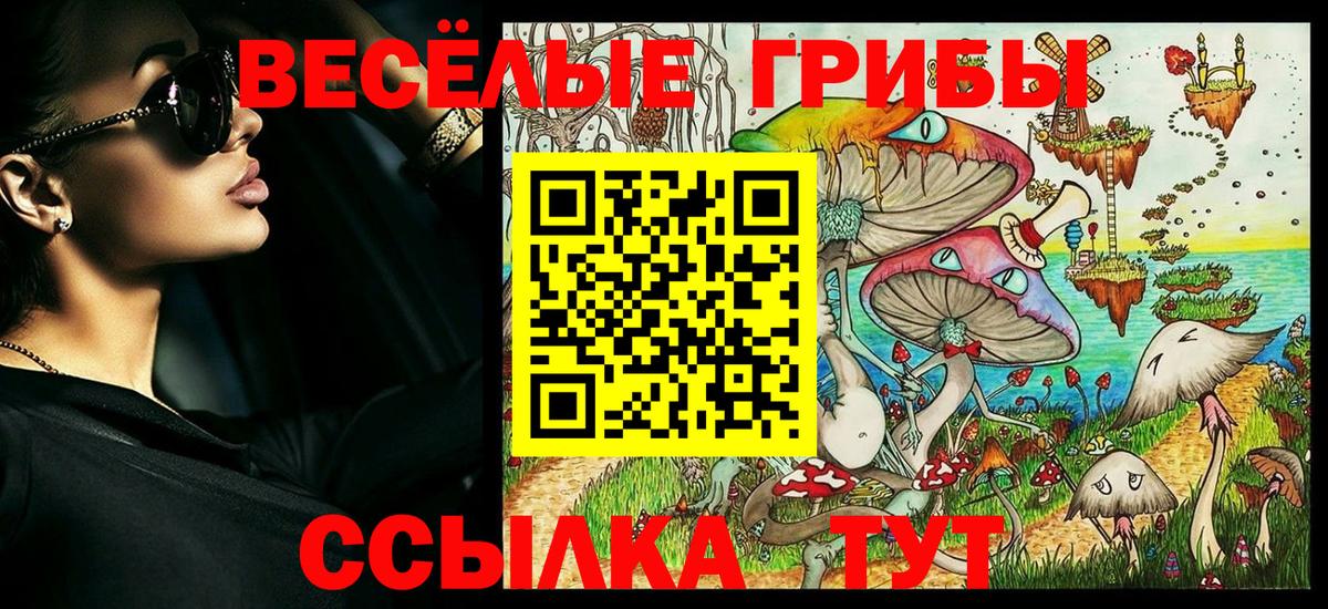 Малоярославец  Псилоцибиновые грибы мухоморы  Вход с VPN 