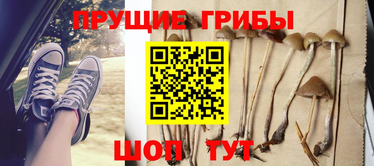 Галлюциногенные грибы MAGIC MUSHROOMS Малоярославец